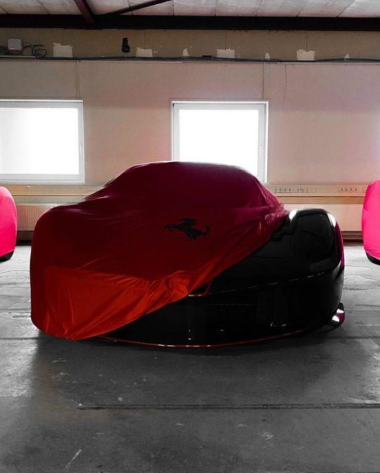 Ferrari Autoabdeckung  Indoor Maßgeschneidert für alle Modelle